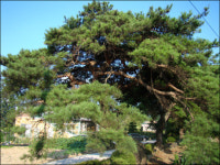 한여름에도 등골이 오싹, 여기 갈걸 그랬네