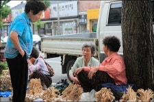 가운데에 기찻길이... 시끌벅적 가야시장