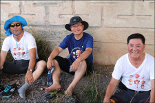 송산 포도 송이채 들고 따 먹으며 걷는 맛, 일품이네