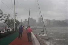 태풍 볼라벤, 여수 밤바다 뒤집어놨다