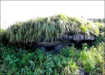 6·25전쟁 상기하며 오른 금학산 947m