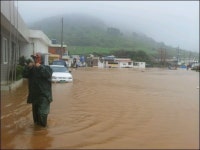 볼라벤에도 버텼는데... 산바에 당했다