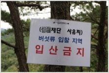 깊은 산 속에 바위 거북이, 너 참 반갑다