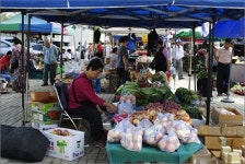 5일장 구경 가서 사약 사발까지 보고 왔네