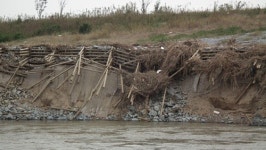 처참하게 망가진 낙동강...목숨 걸고 가봤더니
