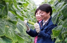 문재인 민주당으로 단일화만이 승리 보장