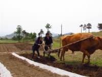 북 안내원에게 아오지 보내달라고 했더니...