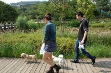 송송이의 소원 죽기 전에 날 데려가 주세요