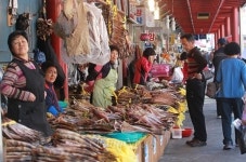 안철수 지나간 강원도 무조건 1번은 안 찍어~