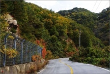 자전거족이 온전히 사랑하는 길... 지독히 낭만적이네