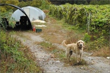 자전거족이 온전히 사랑하는 길... 지독히 낭만적이네