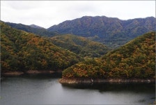 자전거족이 온전히 사랑하는 길... 지독히 낭만적이네