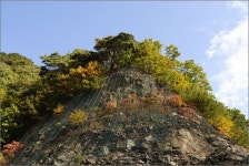 자전거족이 온전히 사랑하는 길... 지독히 낭만적이네