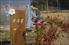 부대 벙커속에 물고기가... 쪽지 한 장의 기적