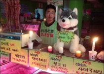 브라우니, 홈플러스 물어! 정육점에 내걸린 인형