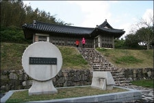 구불구불 선의 예술을 따라 걷는 차밭길