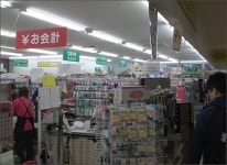 30만원짜리 대마도 여행, 변기 잡고 울 줄이야