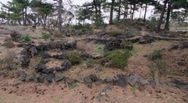 애기무덤 앞에서 자꾸만 목이 메인다