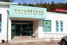 스티커 한 장이면 우린 같이 살 수 있어요