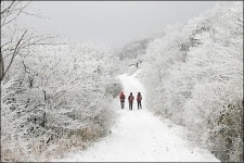 무등산 눈꽃 산행... 그야말로 하얀 동화 세상입니다