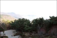 도심서 15분 내 이런 숲이? 부산 시민들이 부럽다