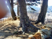 폐허가 된 성터... 바람 마저 쓸쓸하네