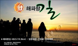 문전옥답이 모두 왜 미나리꽝이 됐을까