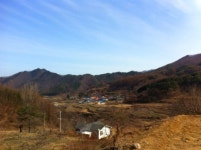 우리 마을 반장은 열여섯 살, 바로 접니다
