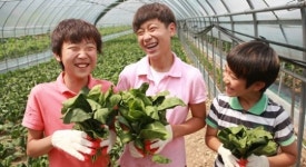 급식비 때문에 조마조마 했는데, 이젠 괜찮아요