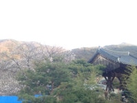 교수 타이틀을 버리고 목수를 택했다