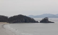 대파 심던 자리엔 튤립, 용 승천한 자리엔 귀향민