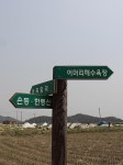 대파 심던 자리엔 튤립, 용 승천한 자리엔 귀향민