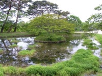 7월의 신부, 5월의 소녀 누가 더 예쁠까