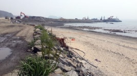 소음과 먼지... 무창포해수욕장 관광객 끊길라