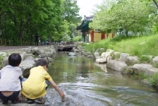 이렇게 아름다운데, 심지어 공짜랍니다