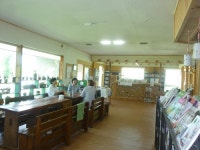 여기선 눕거나 엎드려서 책 봐도 괜찮아요