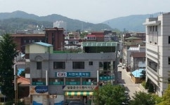 미스강 머리마을 미용실 | 가위 손질하는 아내... 정말 무섭습니다