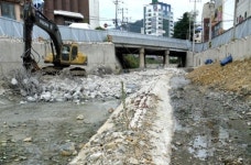 창원 산호천 물고기 죽어...시멘트 독성 탓?