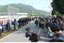 밀양에 동원된 미성년자, 바로 접니다