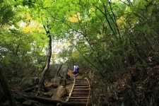 1200년 만에 개방 해인사 마애불, 직접 보니