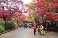 우중산행...소요산 단풍은 아름다웠다