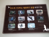 습지도 있고, 수달도 사는... 그런 섬이 있다고?