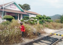 이 마을엔 무병장수 열매가 있다