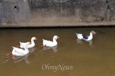 갯골길, 아직 가을이 머무르고 있었네