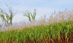 76km, 6시간 자전거 탔더니, 엉덩이가...