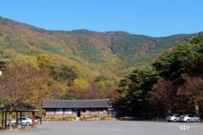 국보 괘불 앞에서 야단법석... 무슨 일일까