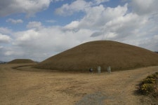 박물관의 속살 수장고 개방한 이곳, 멋진걸