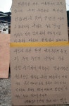 손자 같은 전경들이 밀치고... 창피하다
