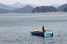 노무현 대통령도 좋아했던 그림, 여기에 많아요