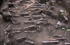 유해는 80구, 완전한 뼈 단 하나도 없다